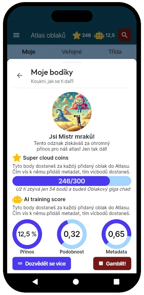 Bodové hodnocení pozorování